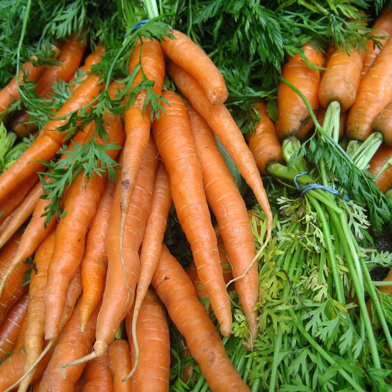 ������� ������������� �������� �������: ��� ��������� �������� �� �����