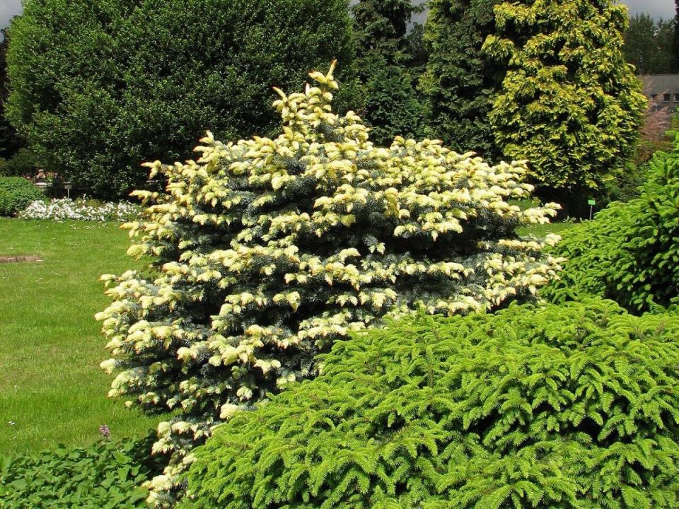 �������� ������� �������: ������ ��� ����� ����������� � ����� ����� ������?