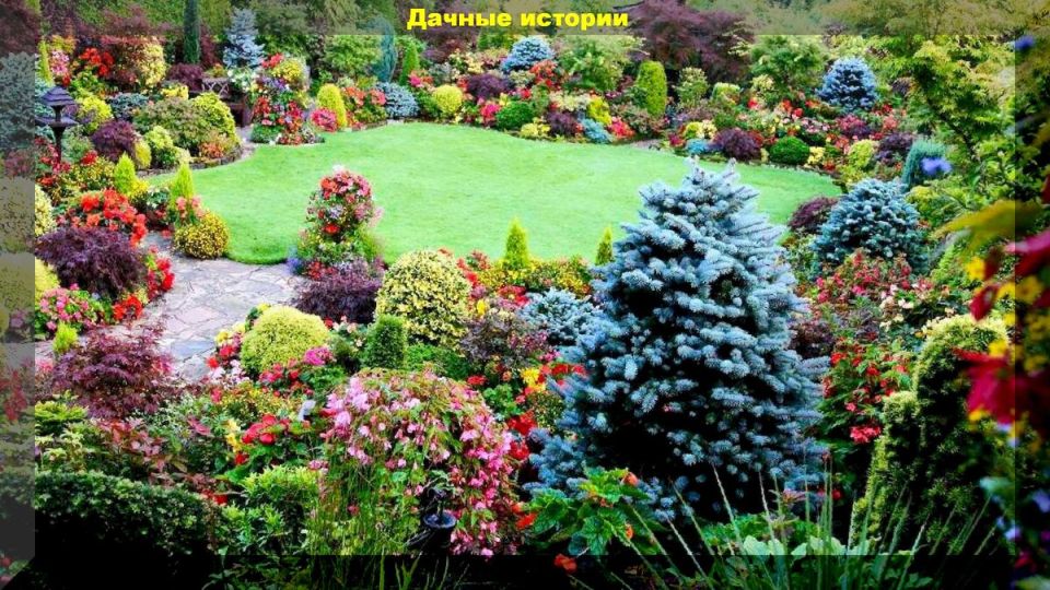 Важные рекомендации по соседству растений в саду