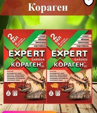 ��� ������� ���� ��������� ��������: ���� �� ����� � ��������� �����