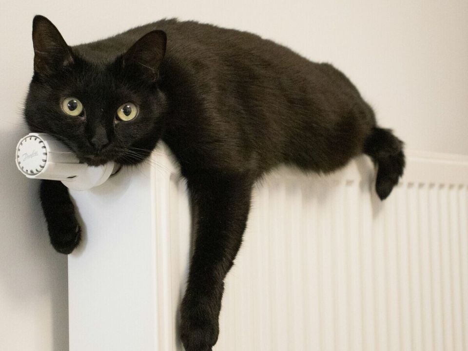 ������ �� ������������ ���������� �������� �������� ����� �������� �� 300 ����� ������