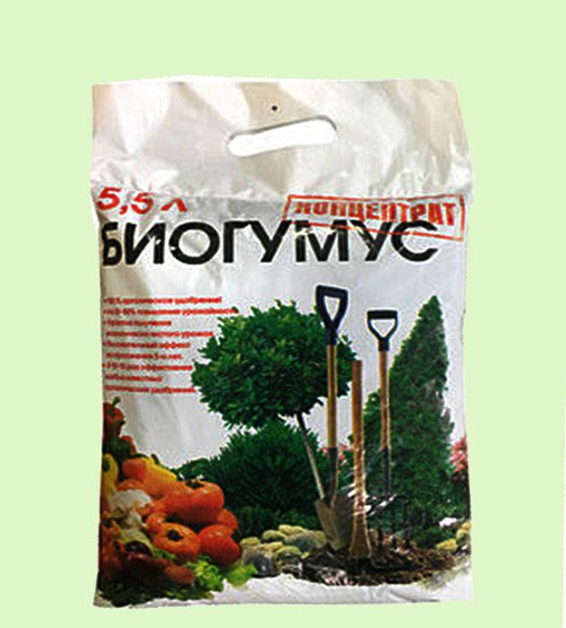 ���������� ���: ����������� ���� ��� ������ ����