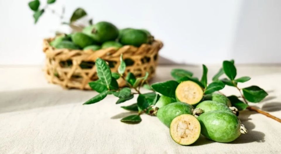 ������: ������������ �����, ����������� ������ �������