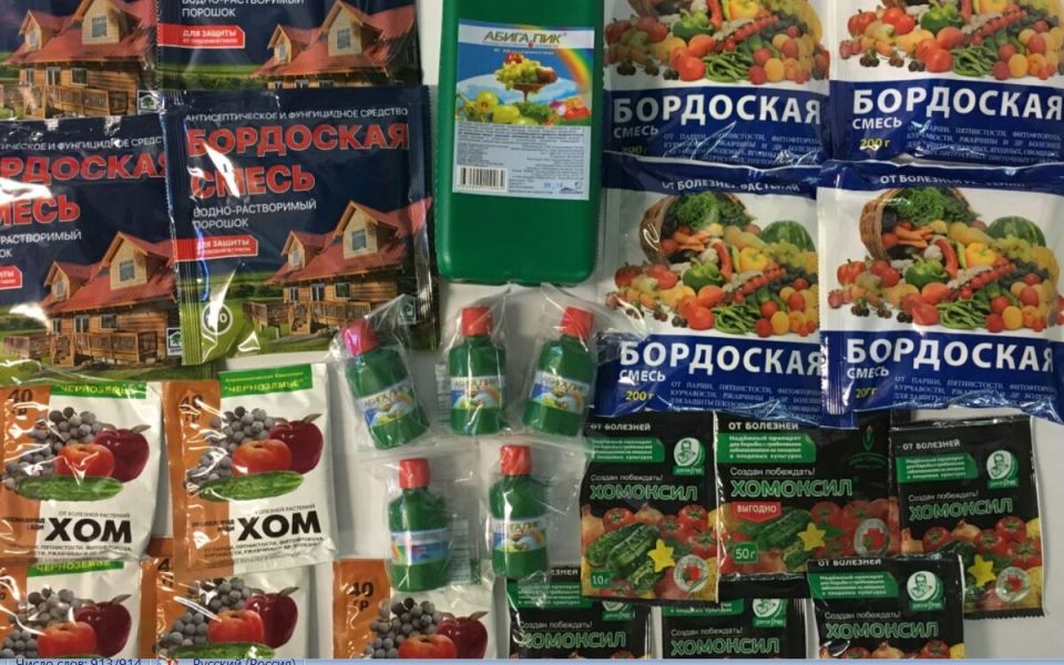 �������� ���� ������: ���������� ��������� ��� ���� � 2026 ����