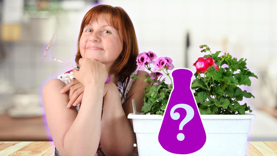 �������� ��� ���������: ��� ��������� �������� ������ ��������� ��������