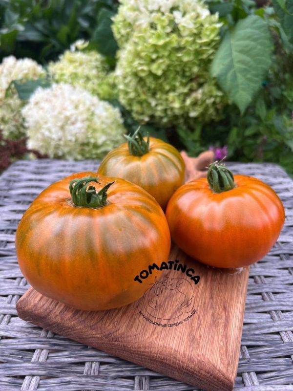 ����� ���������� �����: ���������� ����������� ������ �� ����� �������