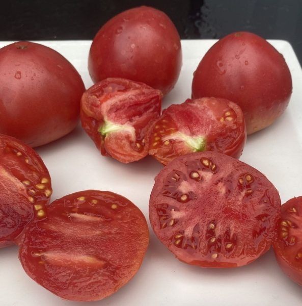 ����� �����: ��������� ����� ��� ������ �������