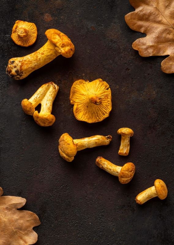 �������: �������� �������� � ���������� ������ �������������