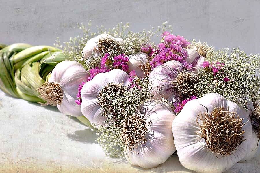 ������� �������� �������: �� ���������� �� ����������� ����������