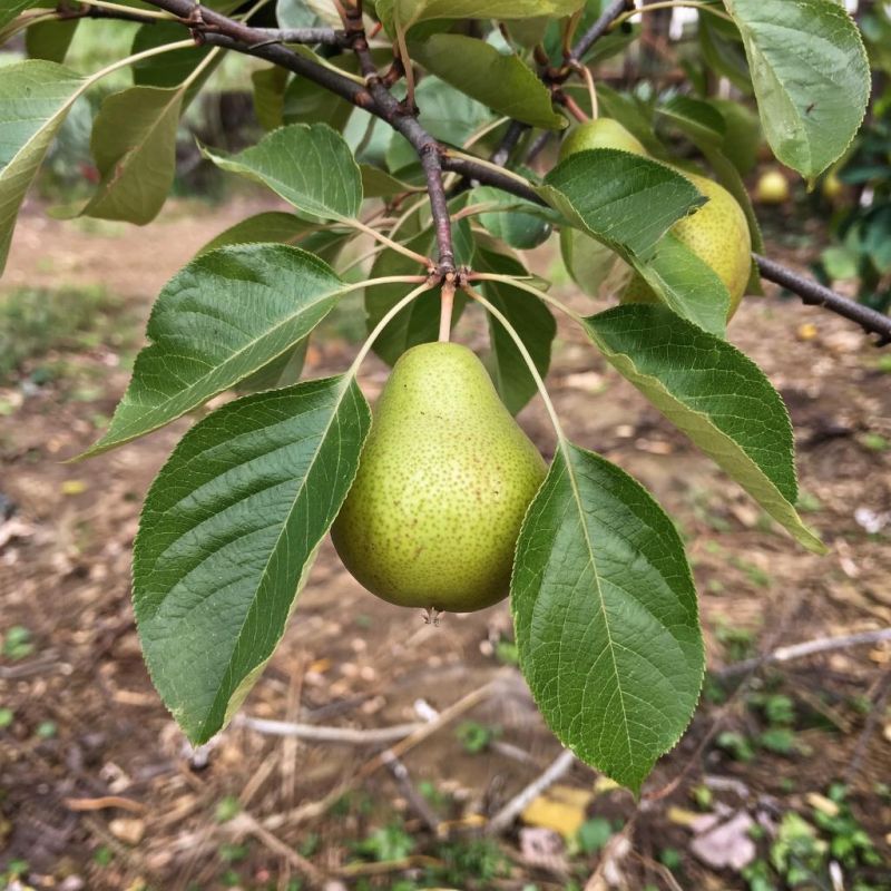 ����� ������� ������: ��� ����� ���������� ������� ������ � ��������� ��� ����