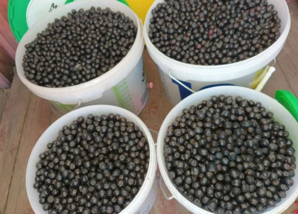 ��� �� �������� ��� ������ ������ ���� ������������ ������ � ��������� ����� �� �����