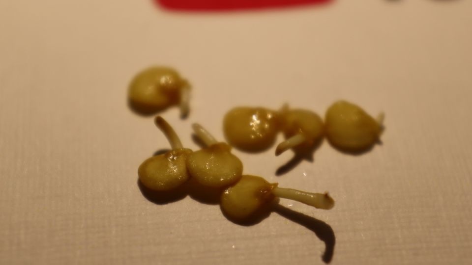 ��� ������ ��������� ������ �� ������� ������� ����� � ��� ������