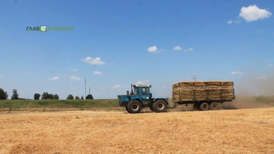 Упрощение выплат по мультириск страхованию урожая с 2026 года