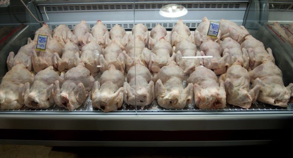 ��� �� ��������� � ������ � ������ � �������� � ���������� ���� � ����������