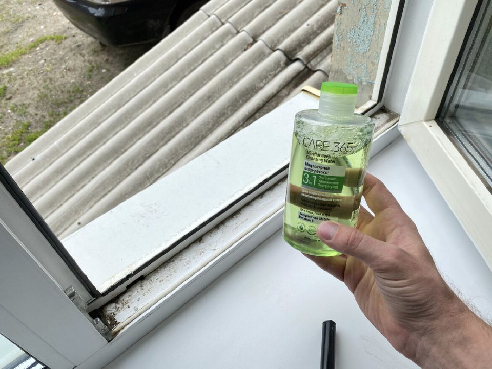 ������� ������ �����: ��� ����������� ���� ������� ������� ����