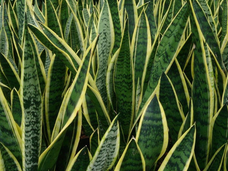 ��� ������� ���� ����� ����� ��������� ���������� ��� ������ �������� ��������