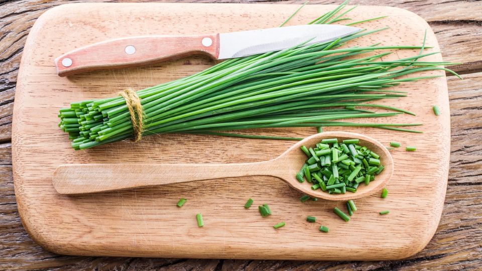 �������� ��� � ������� �������� ����: ������ ���� �������� ������� ���