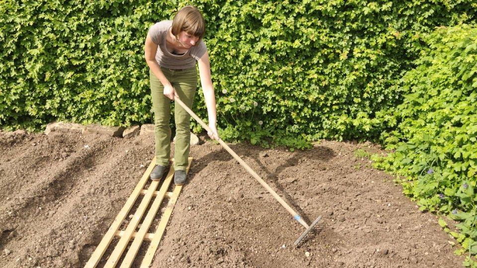 ����� ������ ������ �� ����� ������������ ������: ��� ��� ����� ������� � ������