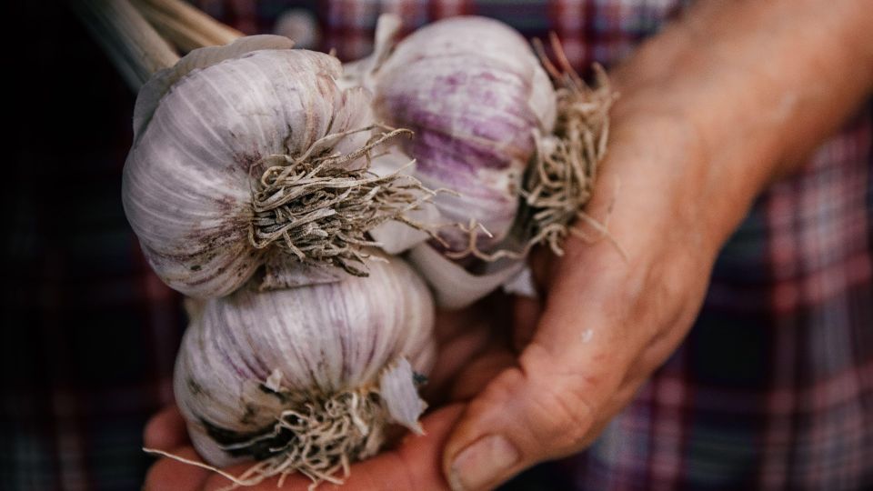 ������ ����� �������� � �����: ��� ��� ��� ����� ��������