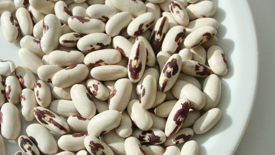 ������: �������� ������ ��� ������ ����