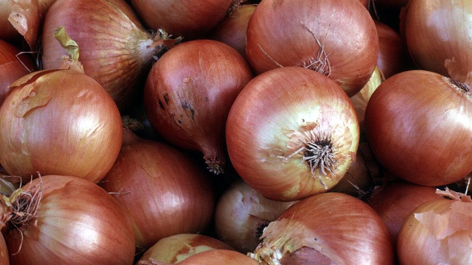 ������� ���������: ��� ��������� �������� ������� ����� ���������