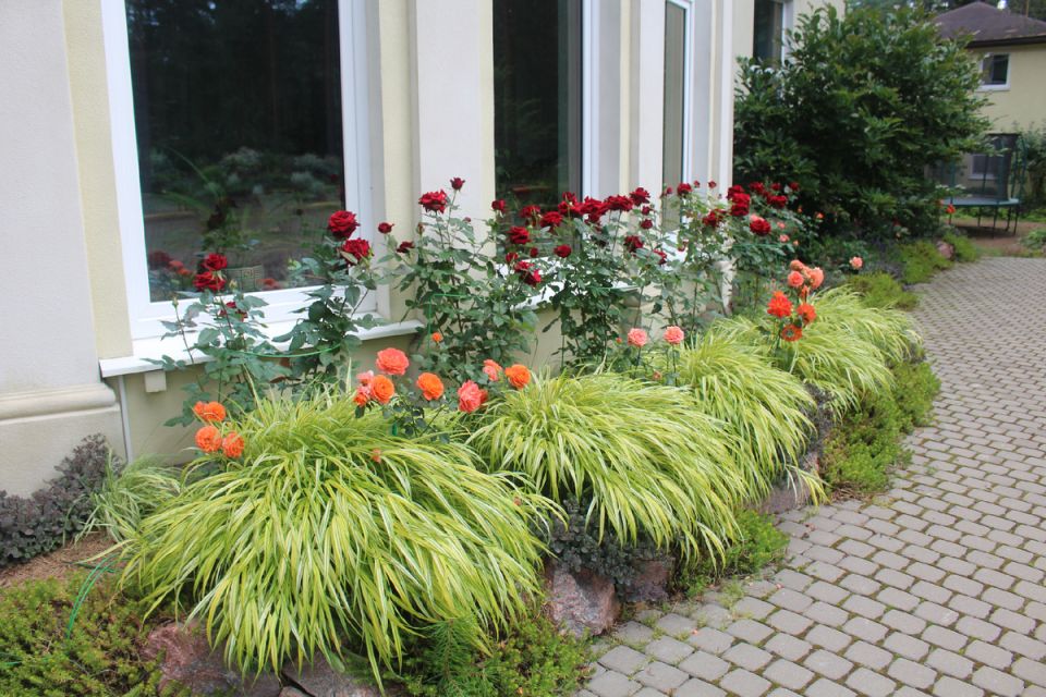 ���� � ������: ��� ����������� �������� � ����