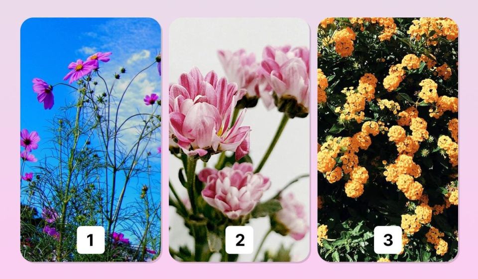 ��� ������ �������� �������� ���� ������ �������