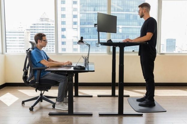 �������� ������� ������ ����: ����� ���������� � ������������� ������������� � 2026 ����