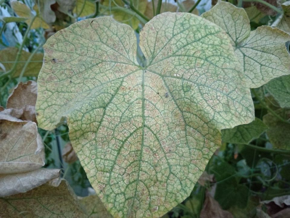 ������ ��� ������: ��� �������� ������ �� ���������� �����