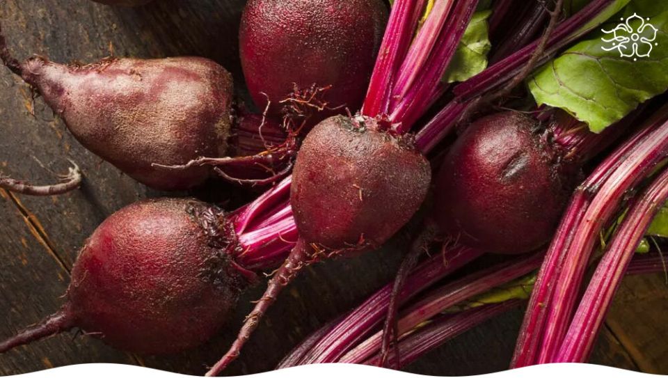 Необычные сорта свеклы, которые способны удивить