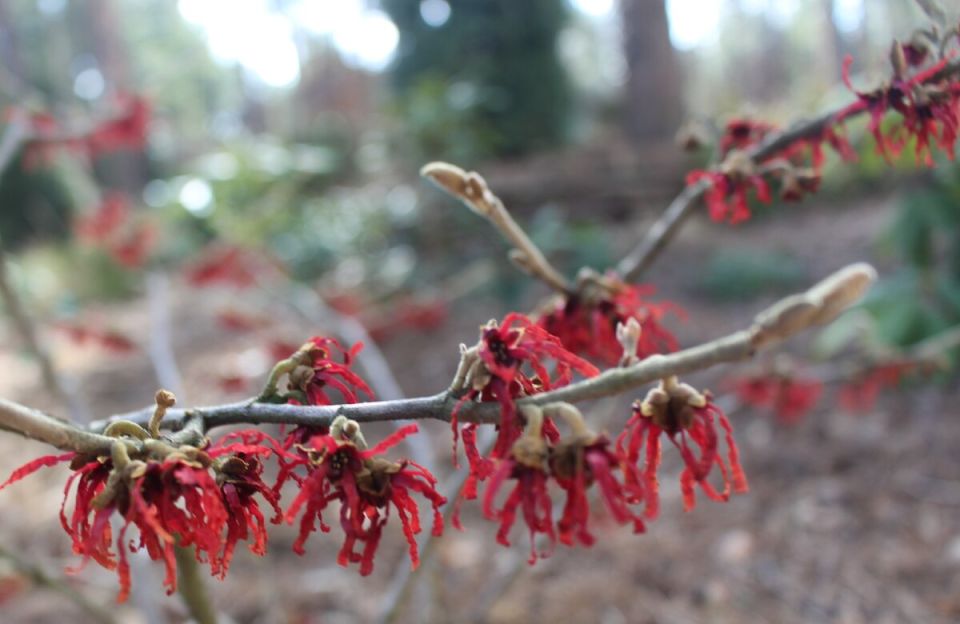 ���������: �������� ���� ������ ����