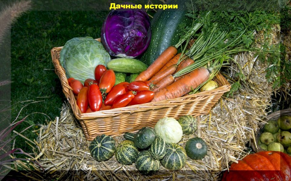 ������ ��� ������ ����� ���� ����������: ������ �����������