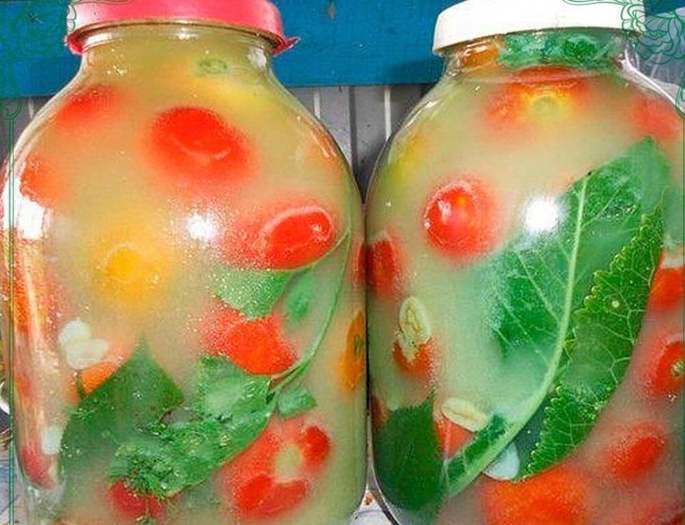 ������� ������ ��������� �� ����: ���������� ������ � ��������� �������