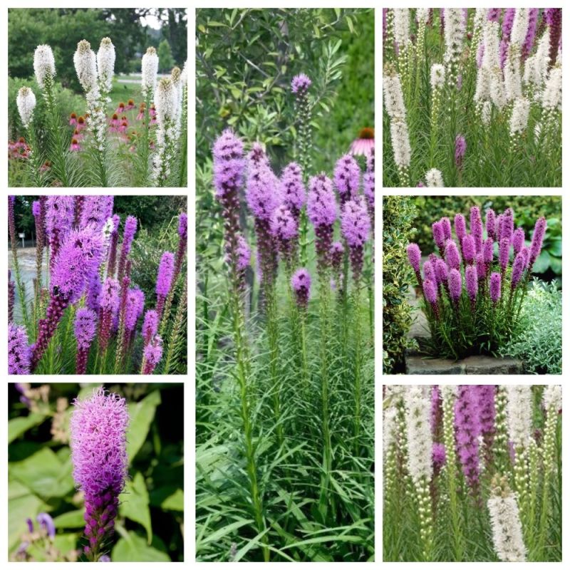 �������: ��� ������� ��� ��� ���� � �����